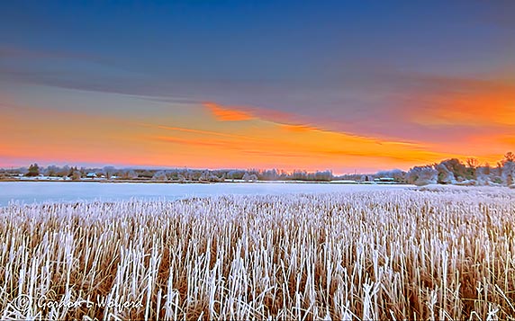 Frosty Otter Creek At Sunrise P1030548-50