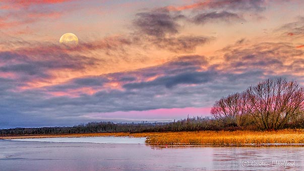 Moon Over Rideau Canal At Sunrise P1370116-22
