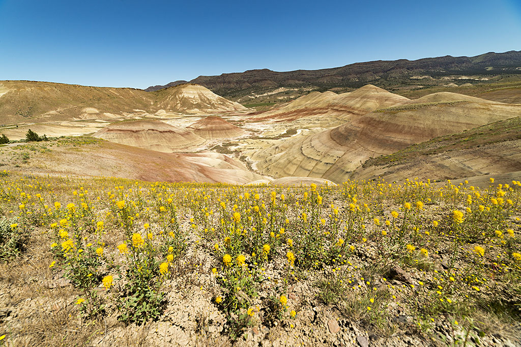 Painted Hills, Oregon