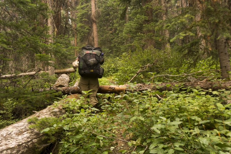 Returning on the Buckskin Ridge Trail