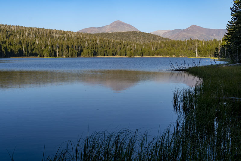 Mount Dana from Dog Lake