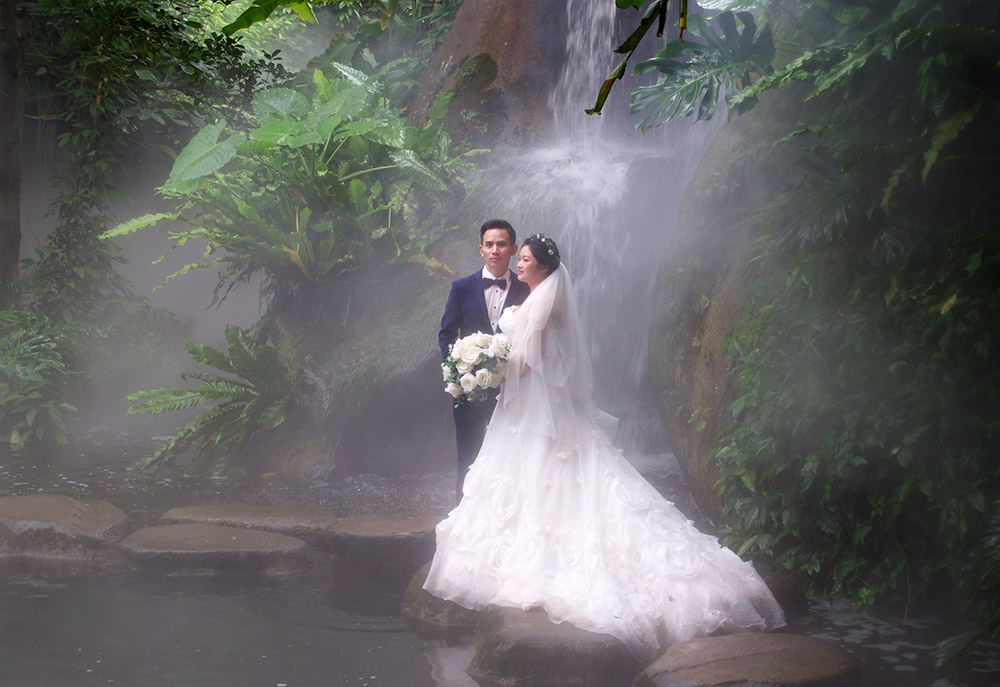 Foggy wedding