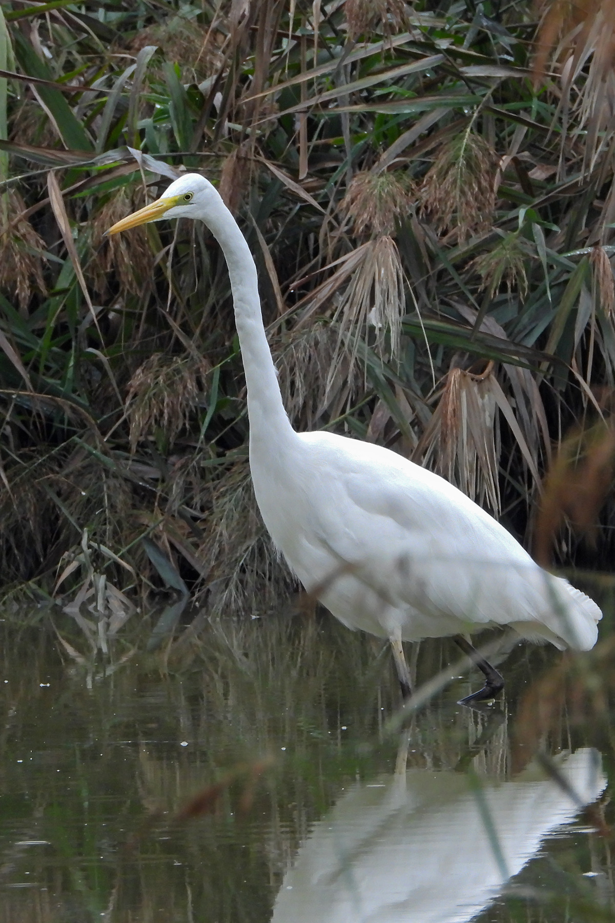 DSCN1054.jpg