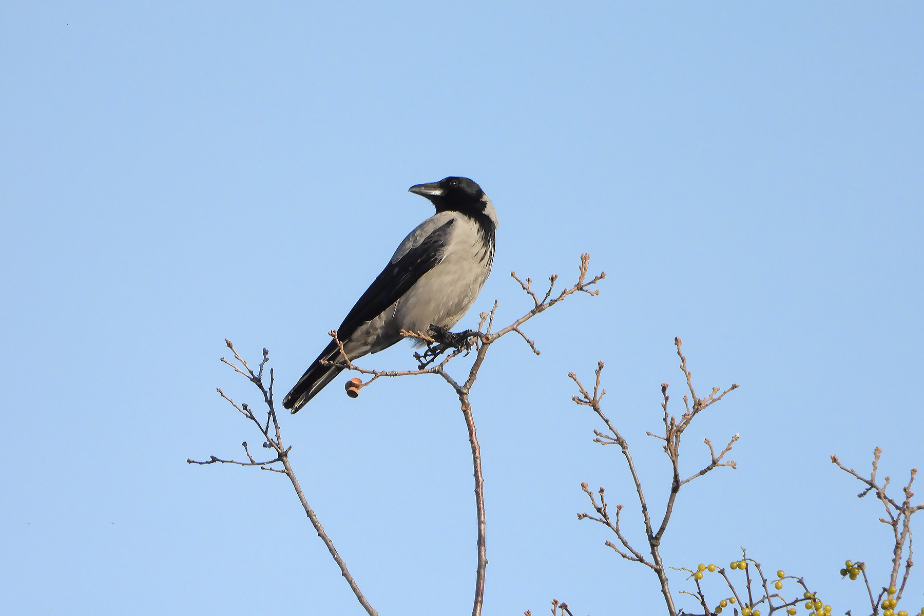 DSCN3081.jpg