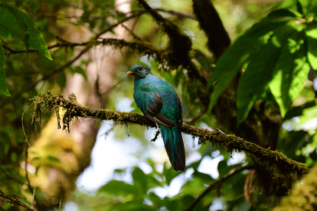 DSC_0692_2.jpg
