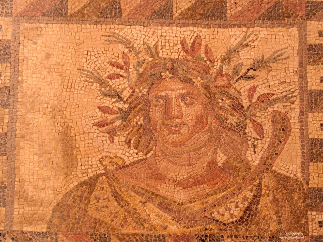 Cyprus february 2011, Bacchus, roman mosaics