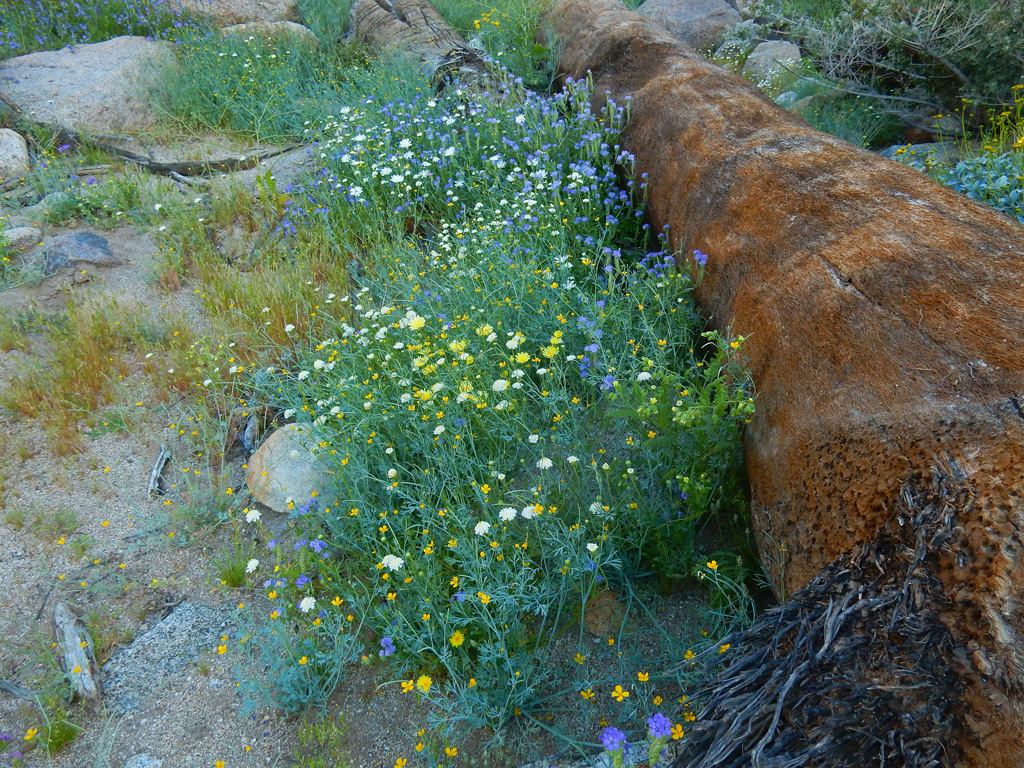 DSCN2063.jpg