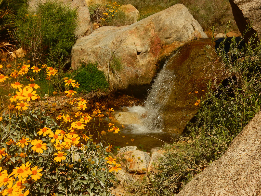 DSCN2134-PalmCanyon-Waterfall.jpg