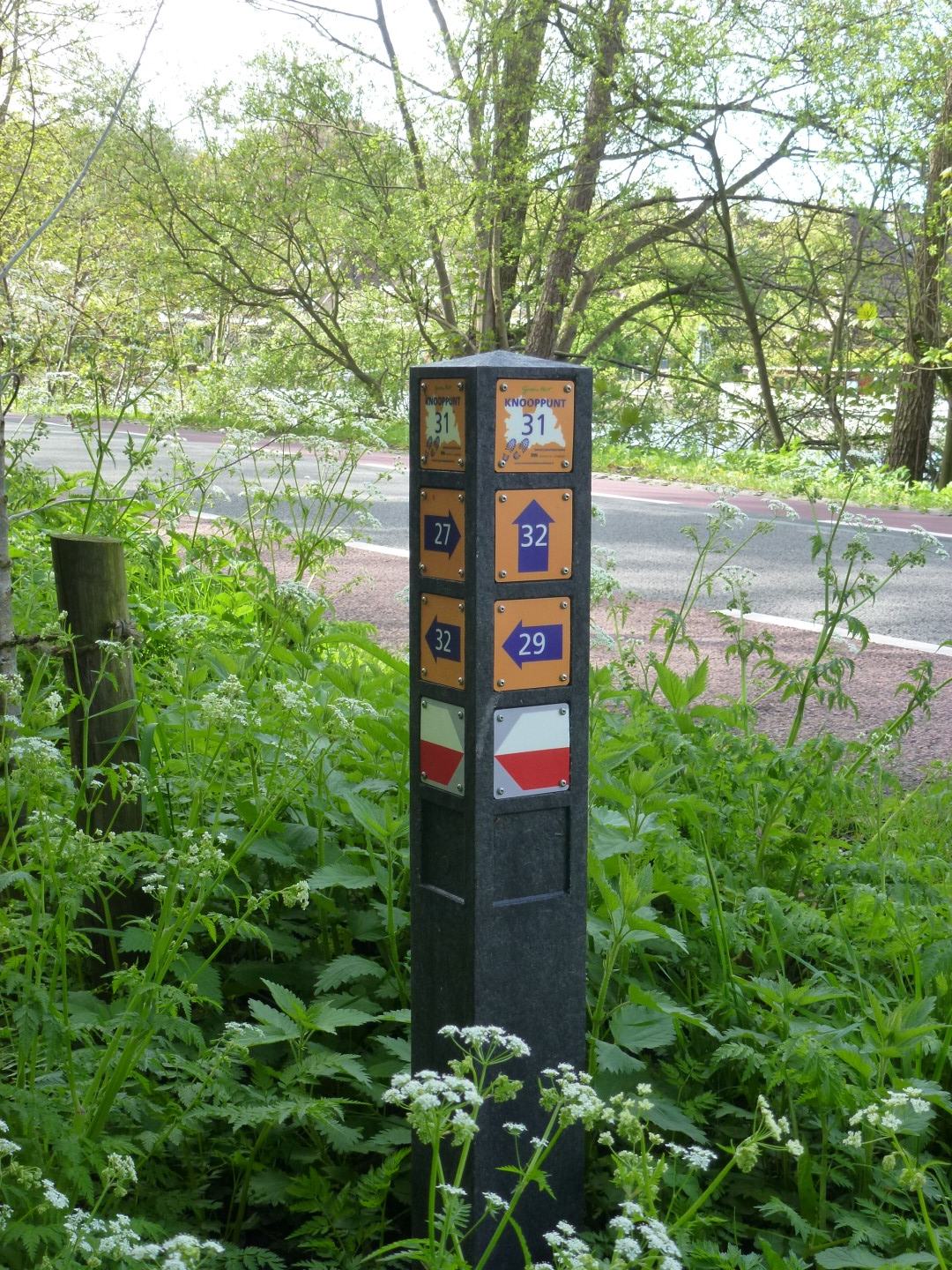 P31_01.JPG