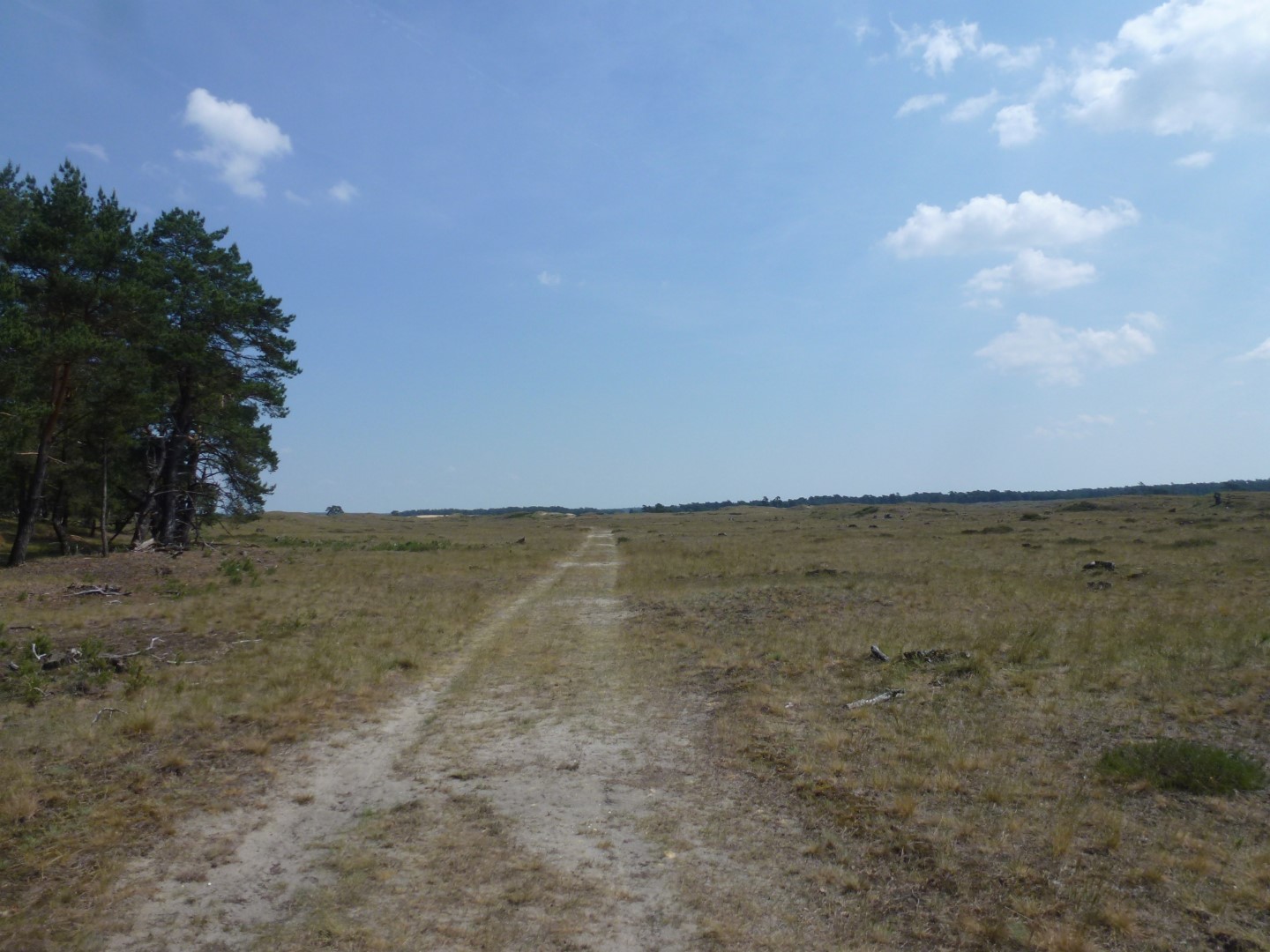 Onderweg op de Hoge Veluwe