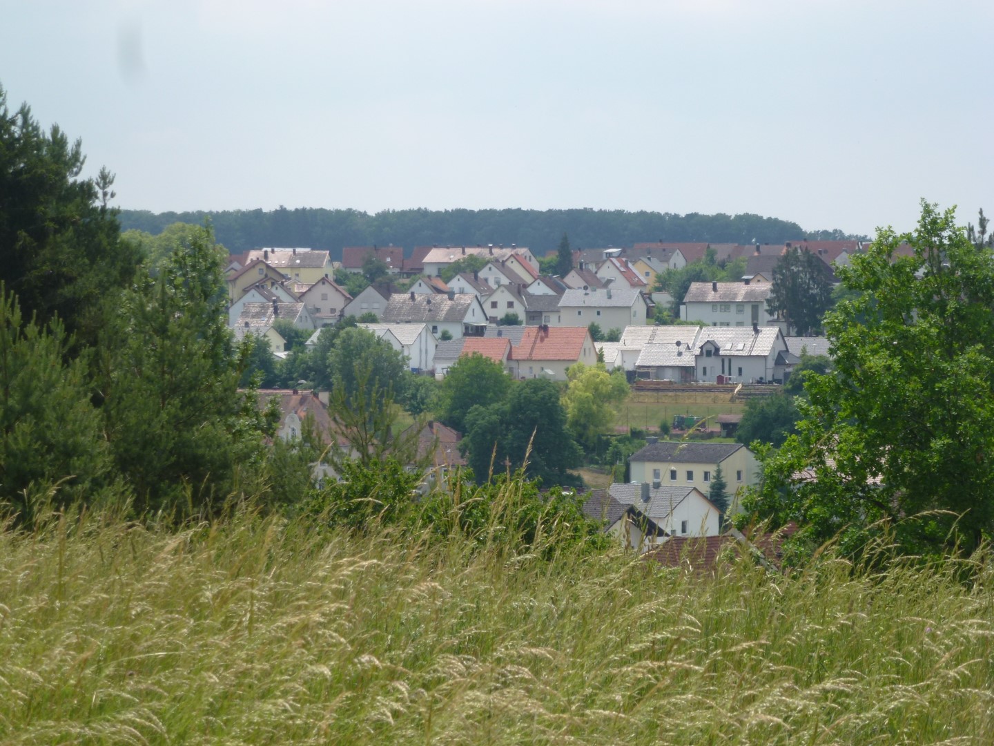 Sandersdorf