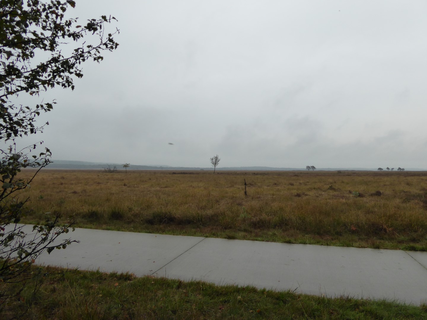 De Hoge Veluwe 