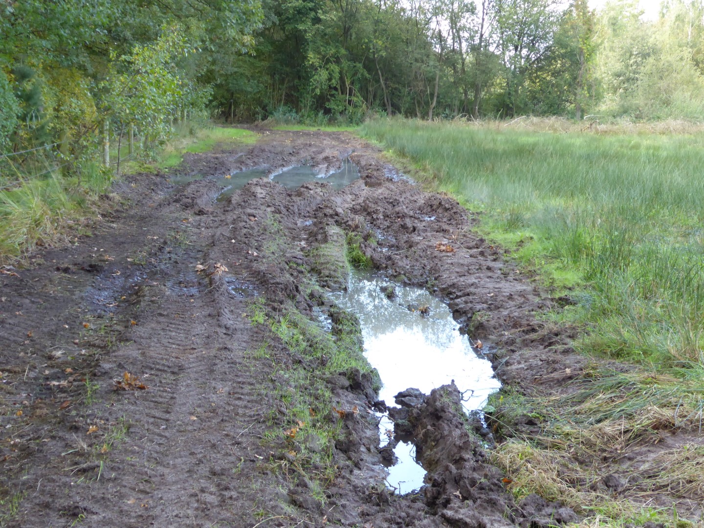 Richting Overijsselsch Kanaal