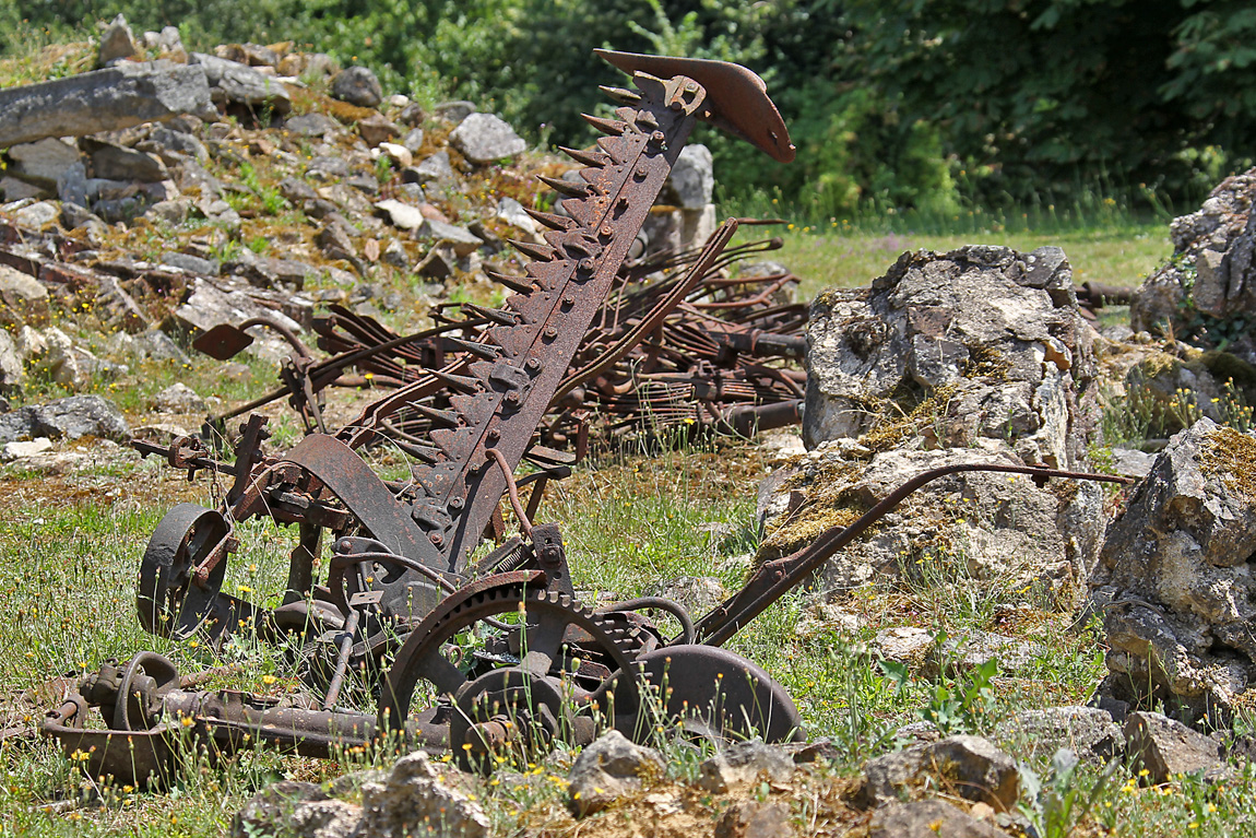 k7259.jpg