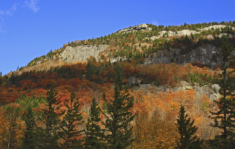 _MG_3512A.jpg