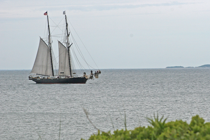 SAILING IN MENEMSHA BIGHT