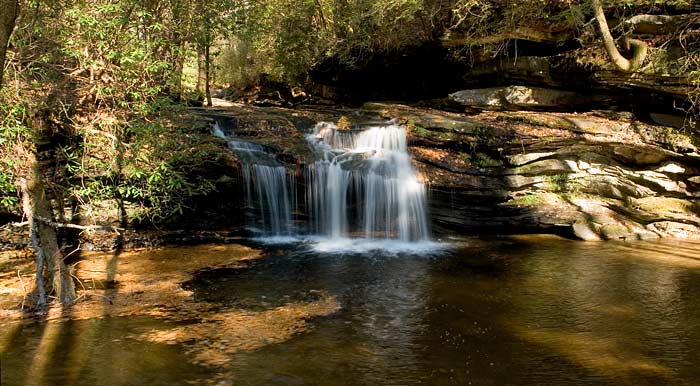 Carrick Creek Falls 1