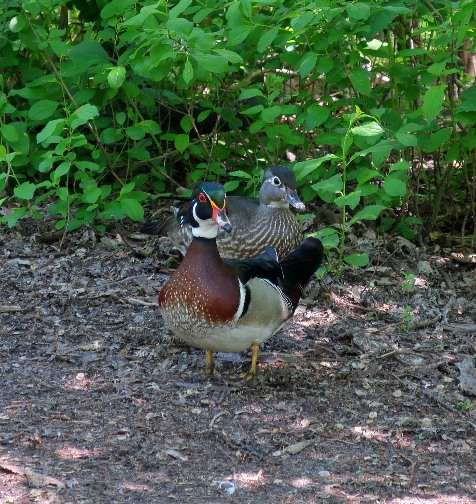 IMG_3037.JPG