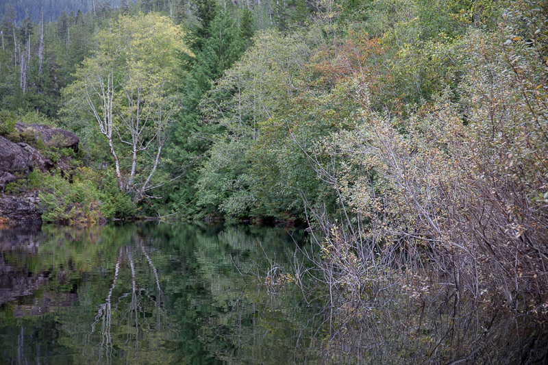 20171017_Gold Stream_0246.jpg