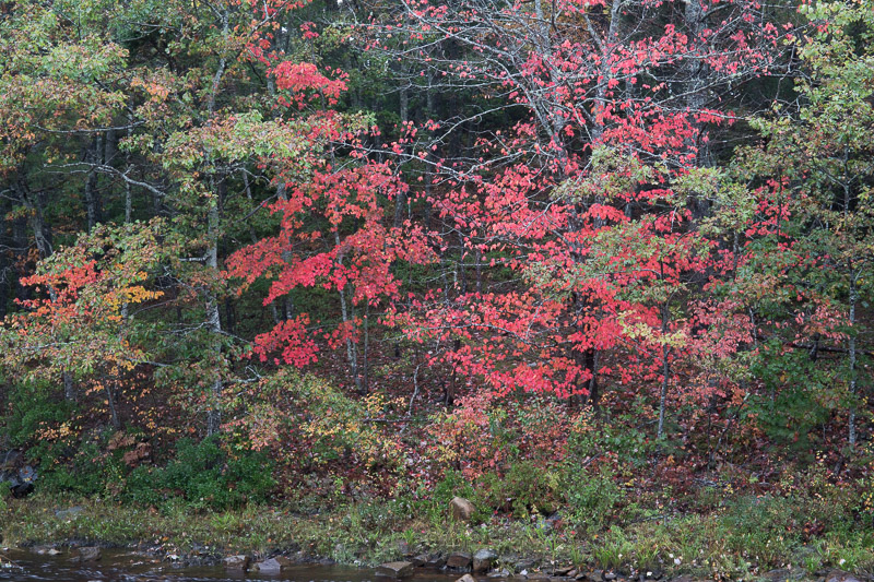 20181012_Nova Scotia_0287.jpg