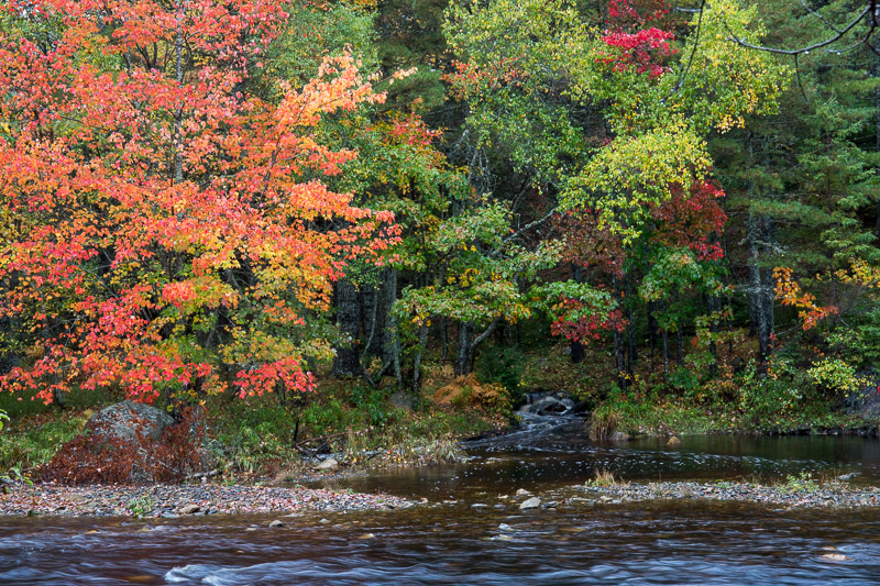 20181012_Nova Scotia_0308.jpg