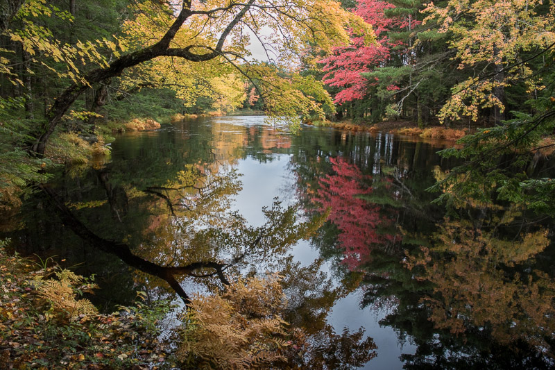 20181013_Kejimkujik_0191.jpg
