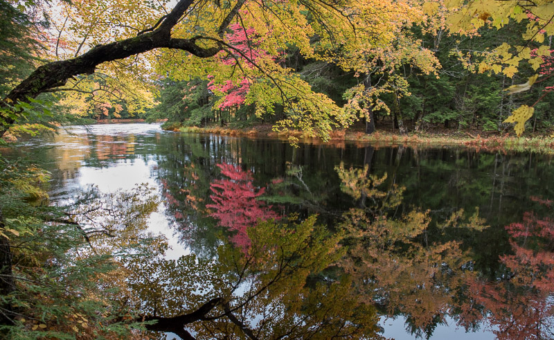 20181013_Kejimkujik_0192.jpg