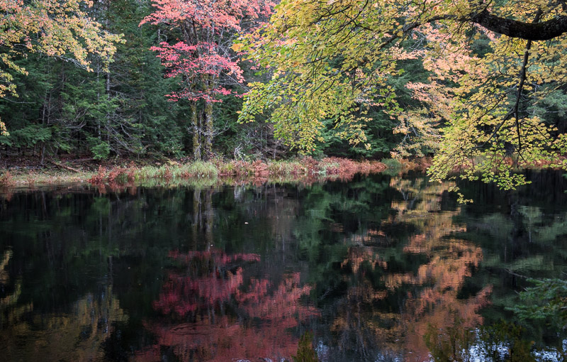 20181013_Kejimkujik_0197.jpg