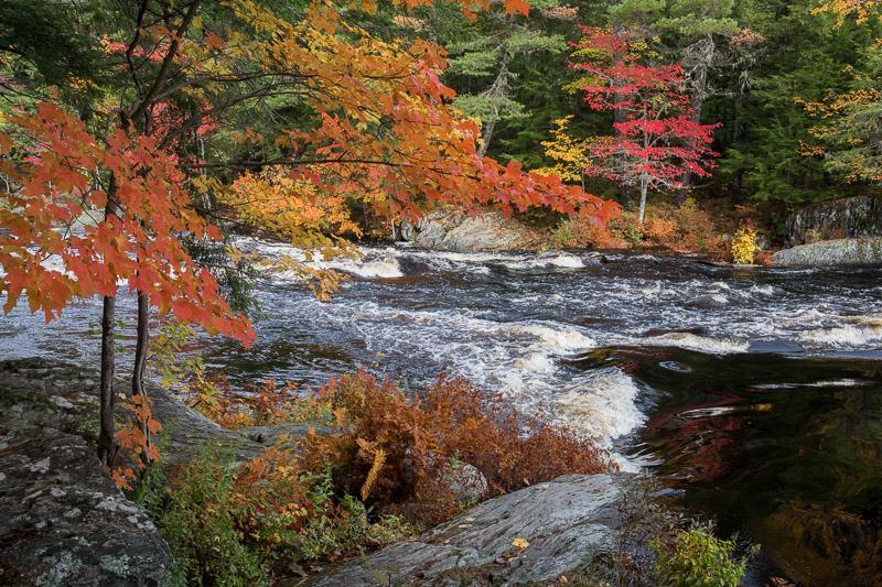 20181013_Kejimkujik_0219.jpg