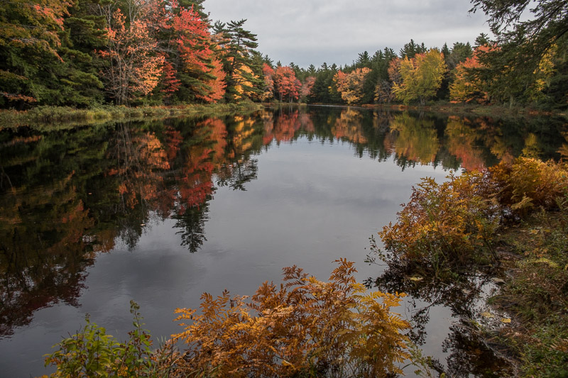 20181013_Kejimkujik_0220.jpg