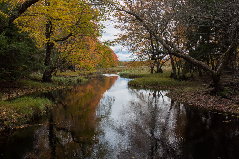 20181013_Kejimkujik_0268.jpg