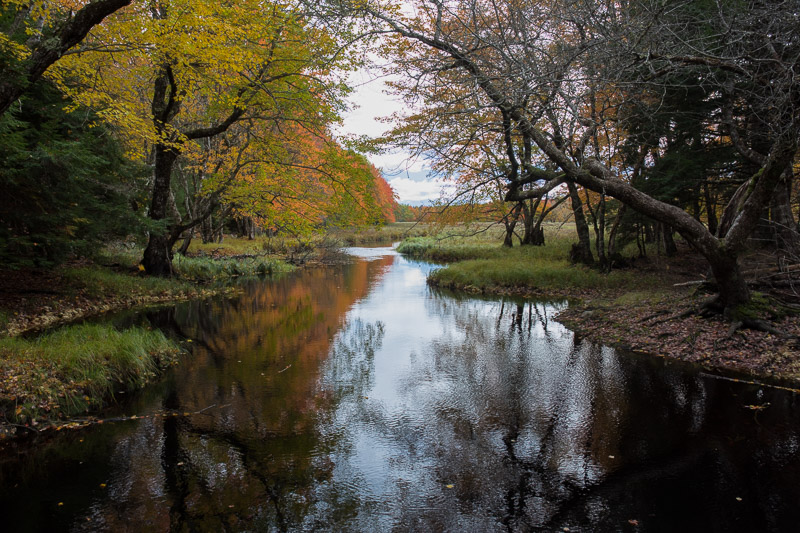 20181013_Kejimkujik_0269.jpg