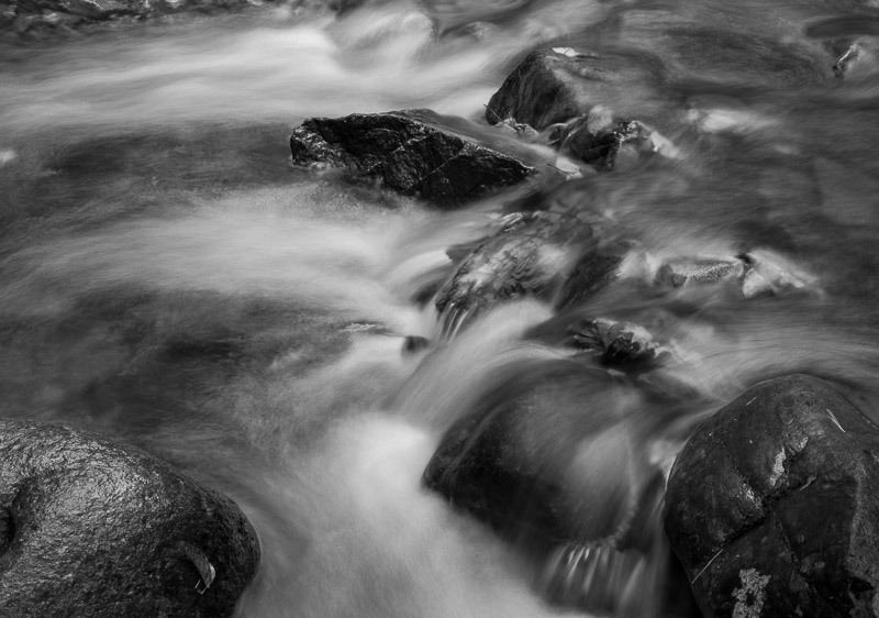 20181014_Cape Breton_0117.jpg
