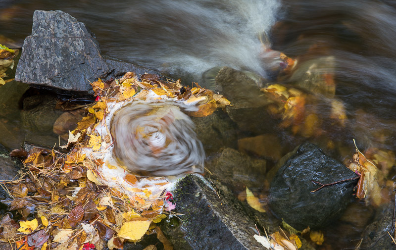 20181014_Cape Breton_0136.jpg