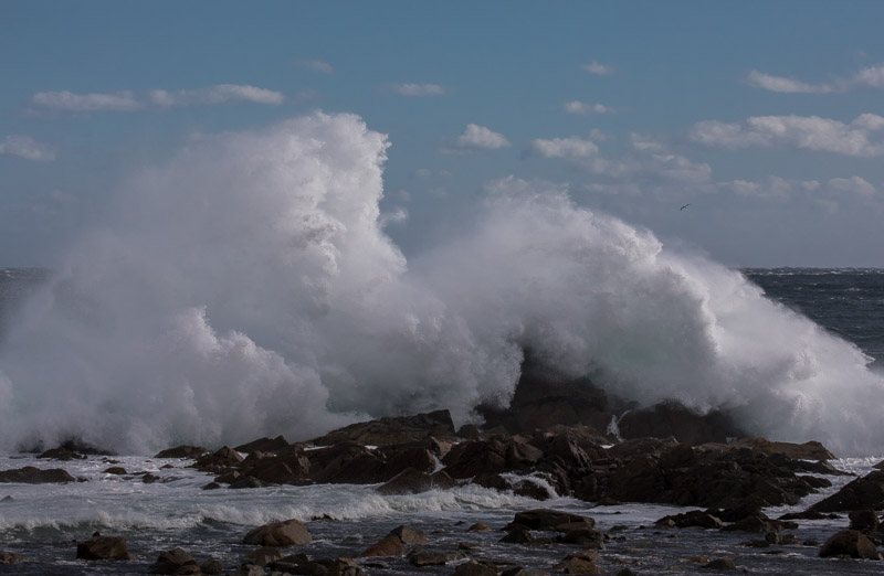 20181016_Louisbourg_0091.jpg