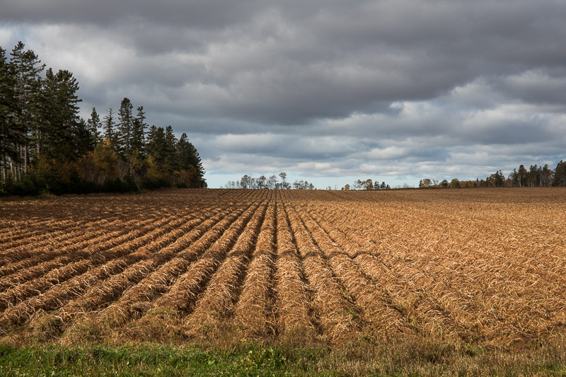 20181019_PEI_0001.jpg