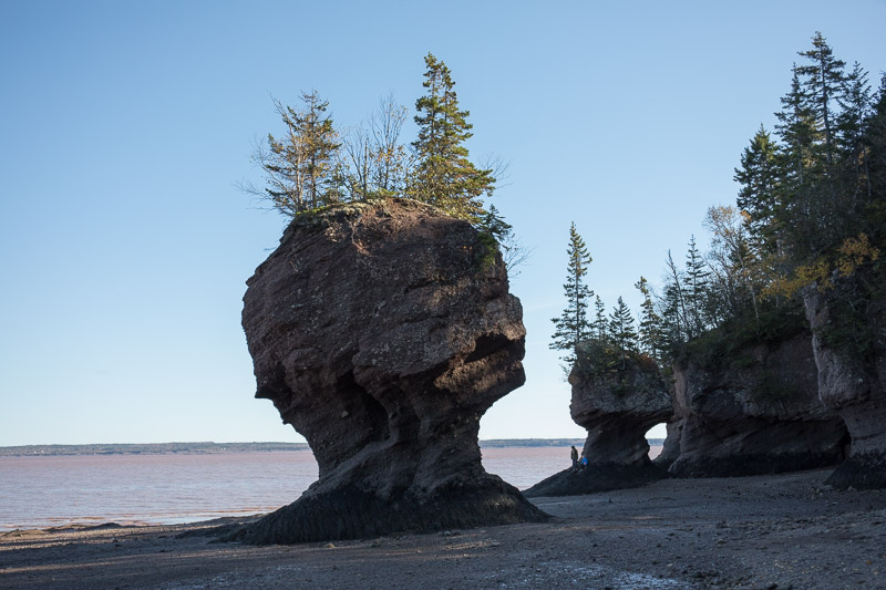 20181019_Hopewell Rocks_0031.jpg