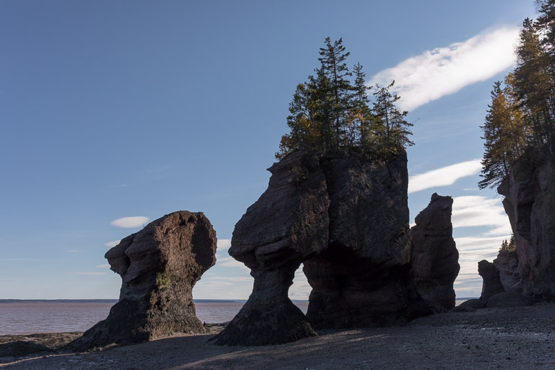 20181019_Hopewell Rocks_0085.jpg