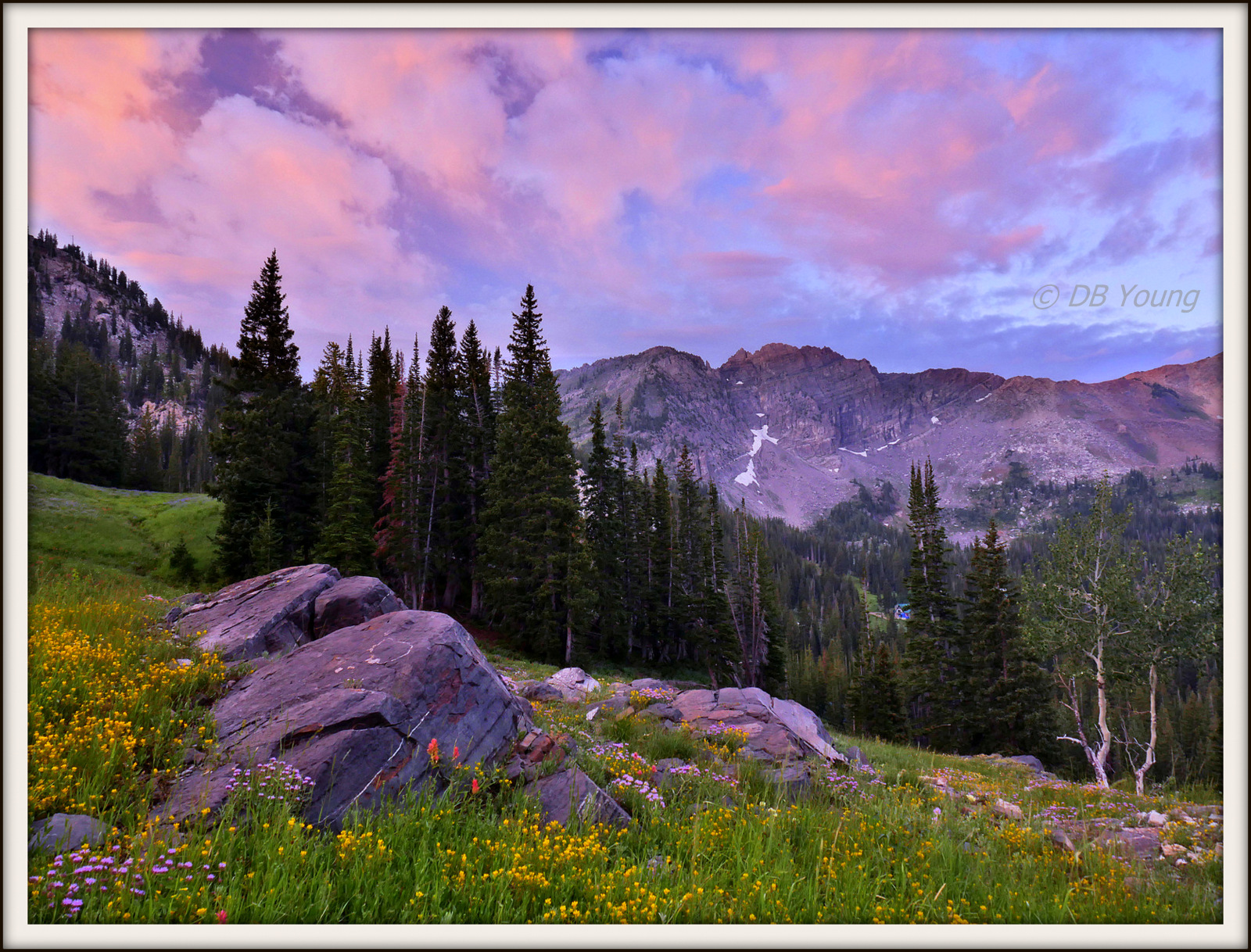 Albion Basin in the Wasatch Range