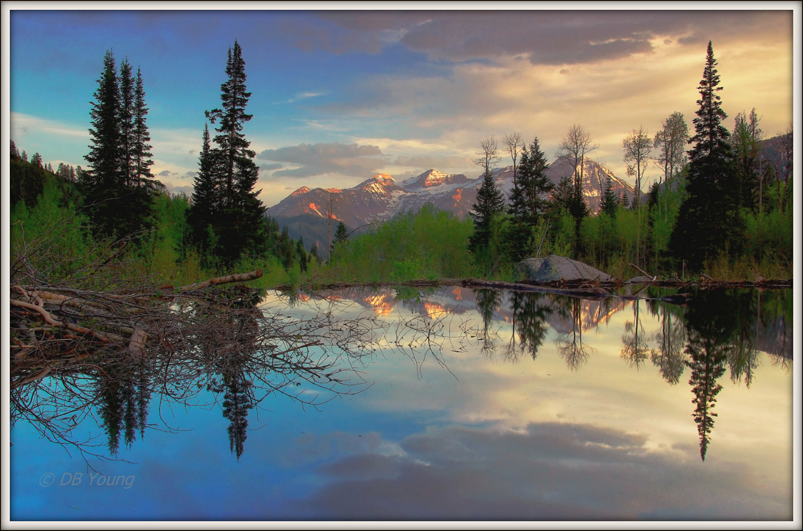 Evening  view over the beaver pond. 