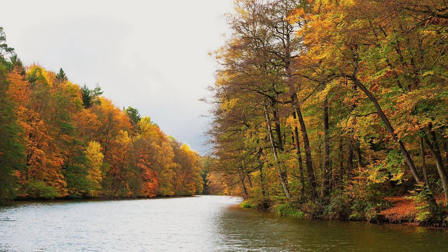 Autumn at the Lake