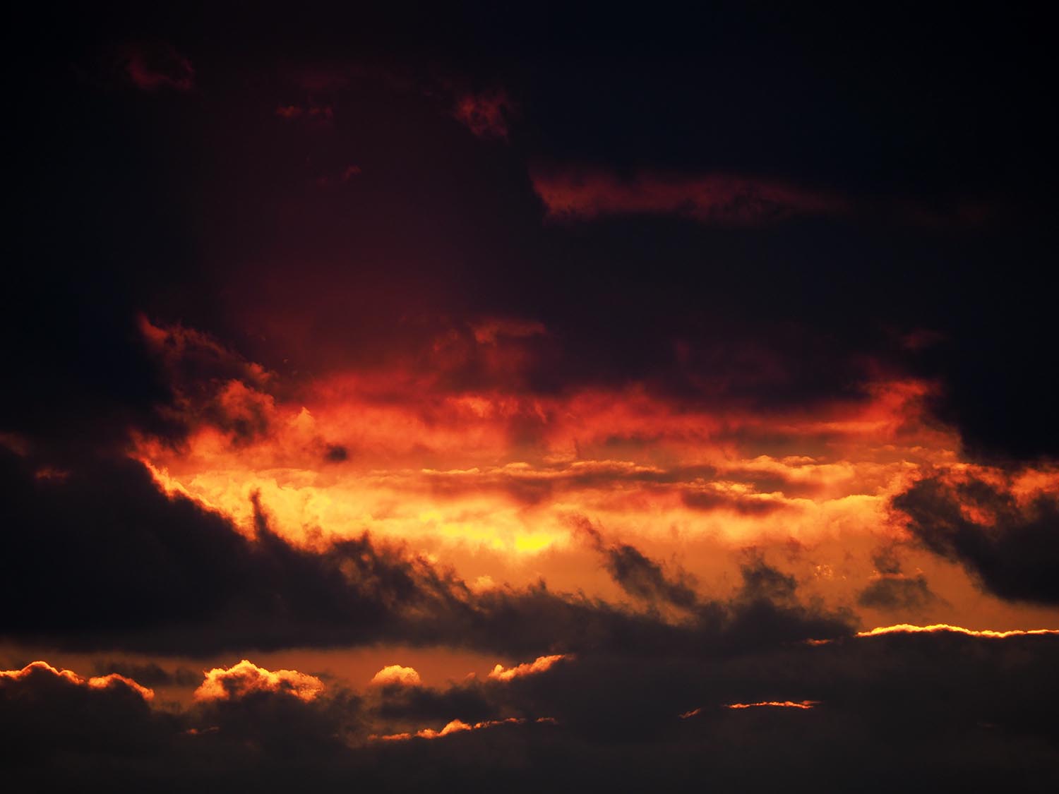 110_PC310899.JPG