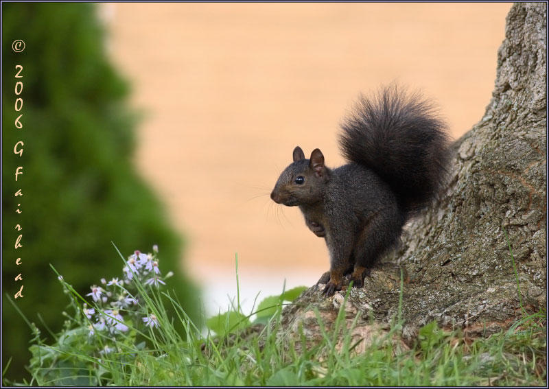 Sometimes you just have to sit back and smell the flowers.