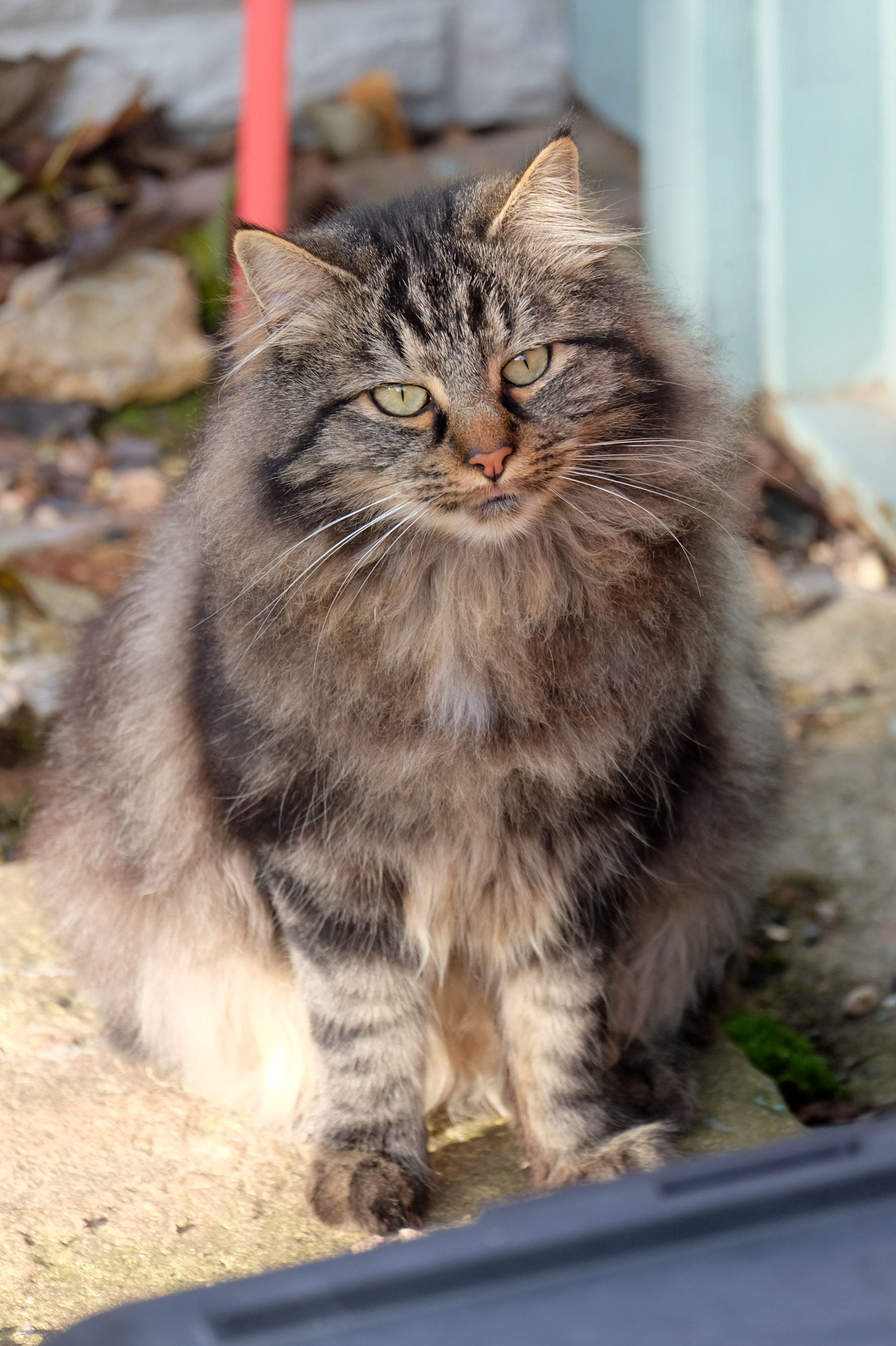 DSCF4655.jpg