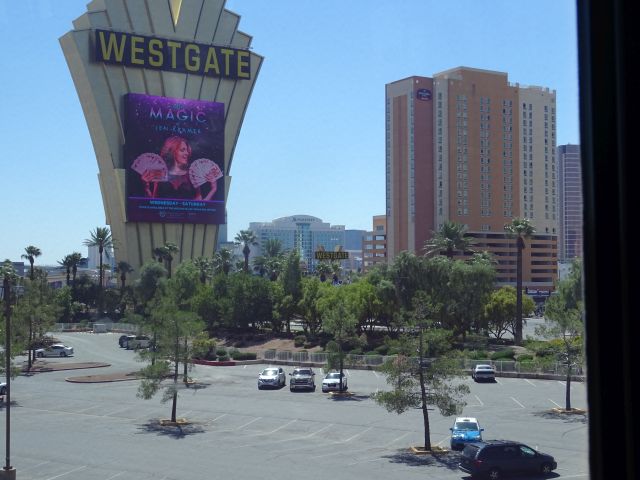 DSC00867.JPG
