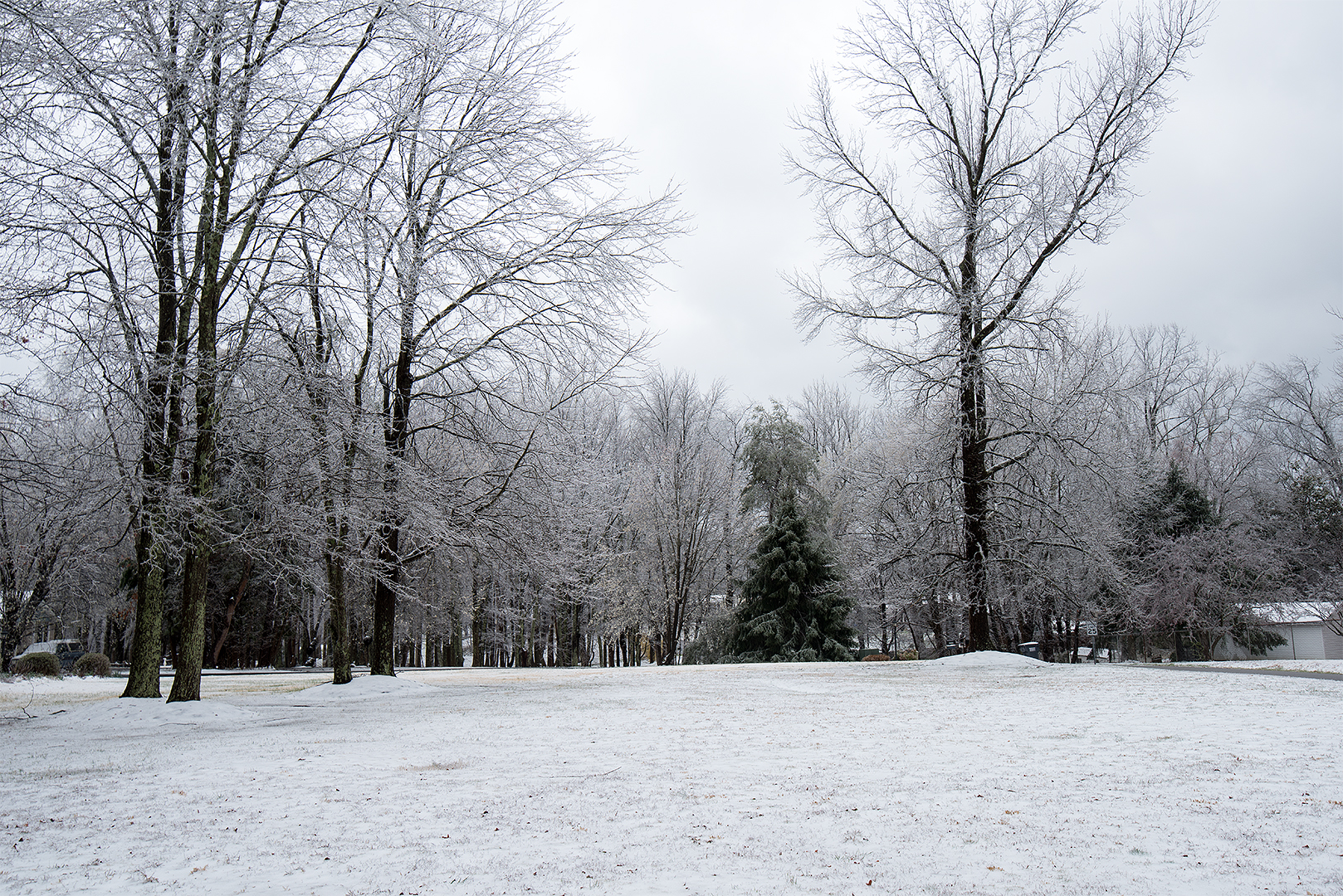 _DSC1939s1080.jpg