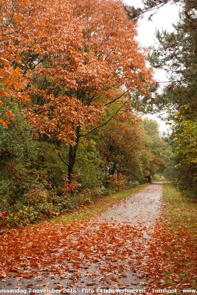 Turnhout / Kempen (Belgium)<br>Het Bels Lijntje