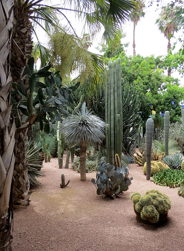 Ballade au jardin de Majorelle