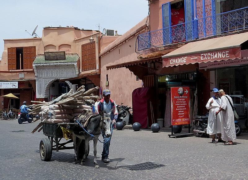 Promenade autour de la Médina de Marrakech