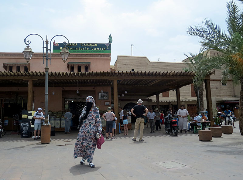 Promenade autour de la Médina de Marrakech